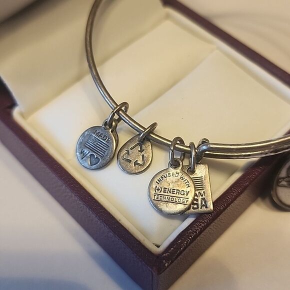 Alex and Ani (+) Energy Team USA Bracelet Team USA Skiing 2013 - Picture 3 of 5